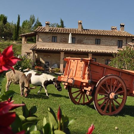 Farm Stay Il Carro Del Colle Collevalenza Luaran gambar