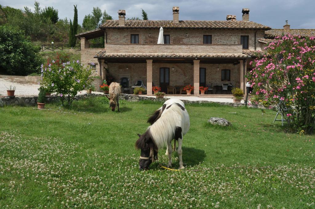 Farm Stay Il Carro Del Colle Collevalenza Luaran gambar