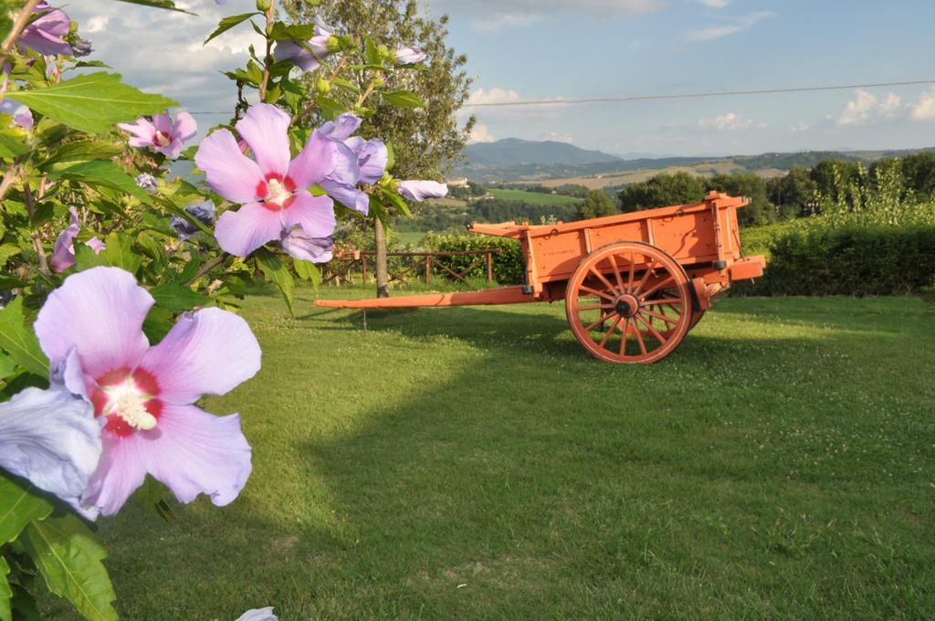 Farm Stay Il Carro Del Colle Collevalenza Luaran gambar