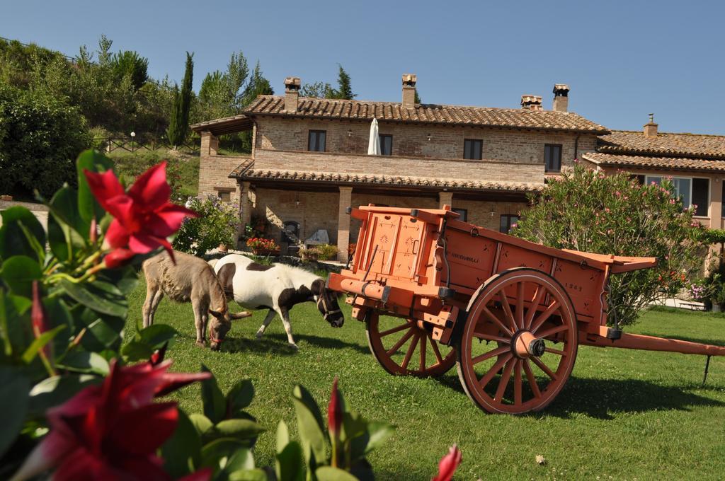 Farm Stay Il Carro Del Colle Collevalenza Luaran gambar