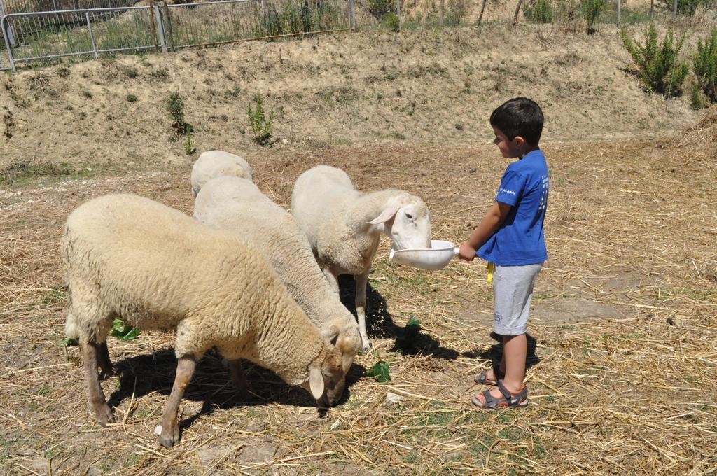 Farm Stay Il Carro Del Colle Collevalenza Luaran gambar