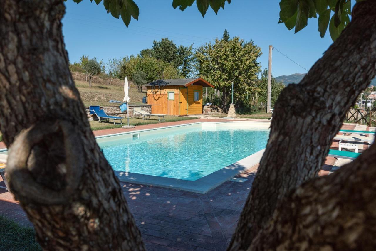 Farm Stay Il Carro Del Colle Collevalenza Luaran gambar