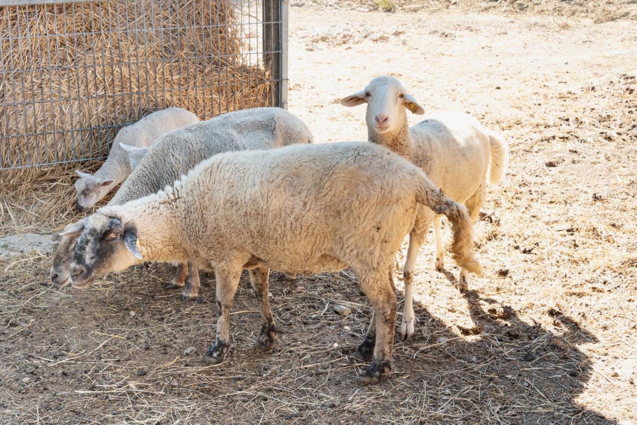 Farm Stay Il Carro Del Colle Collevalenza Luaran gambar